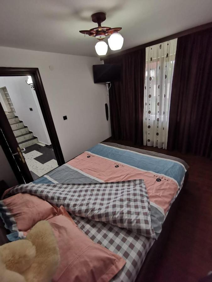 Vila De Vacanta Curtea de Argeş Eksteriør billede