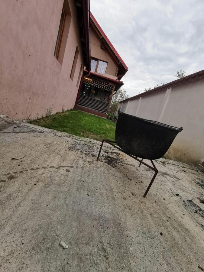 Vila De Vacanta Curtea de Argeş Eksteriør billede